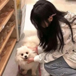 僵尸公园io破解版下载